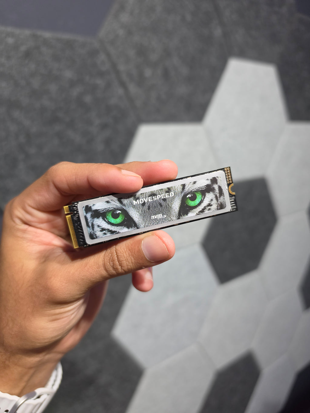 Ssd Movespeed Snow Leopard 1Tb